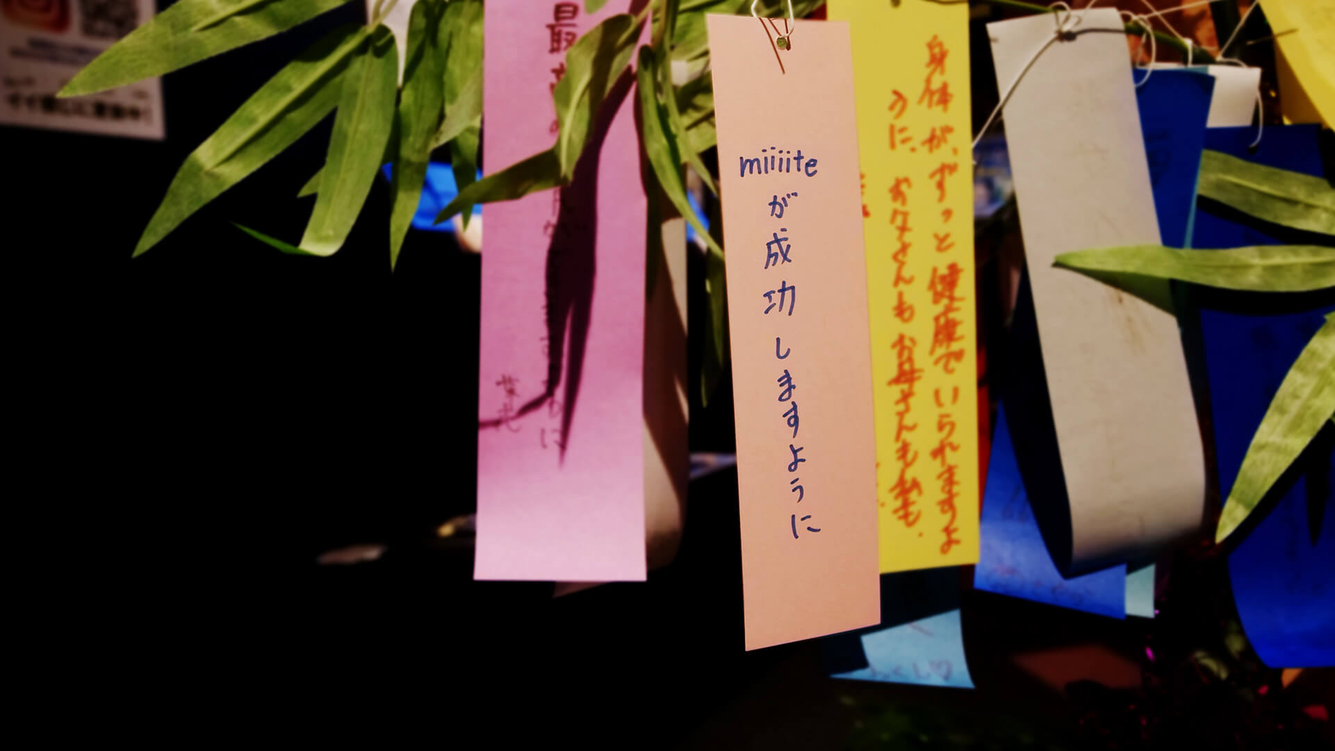 ミーテ編集部もしっかり叶えたい思いを短冊に書いてきました