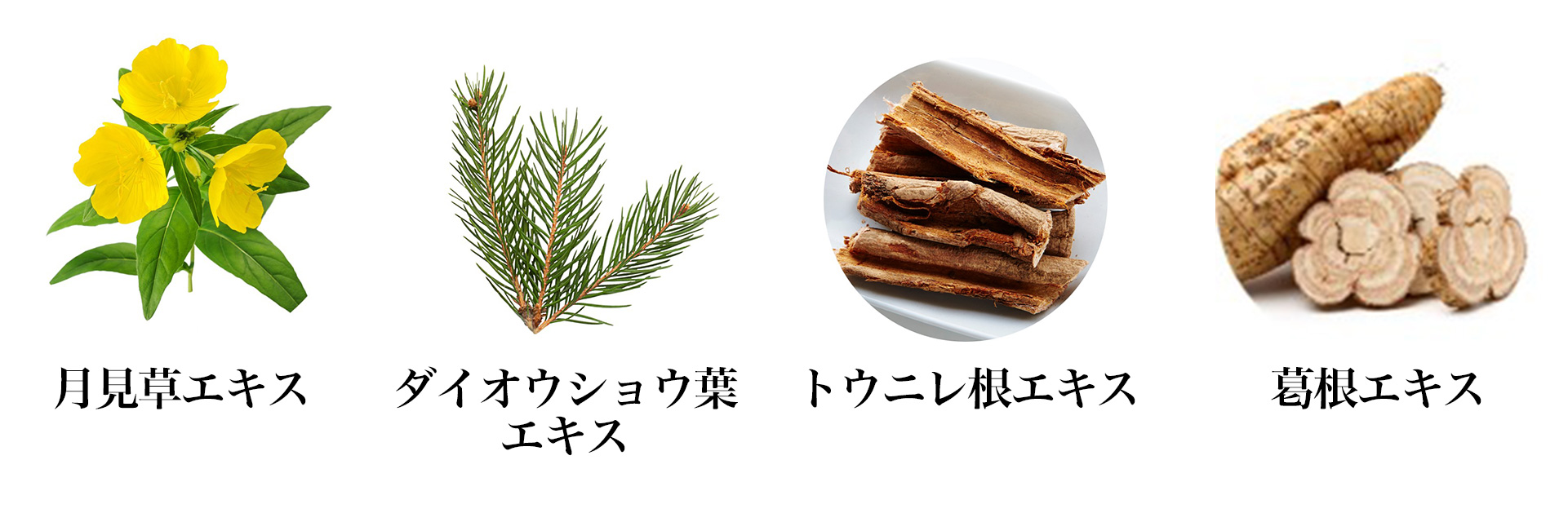 V3 エキサイティングファンデーションの成分