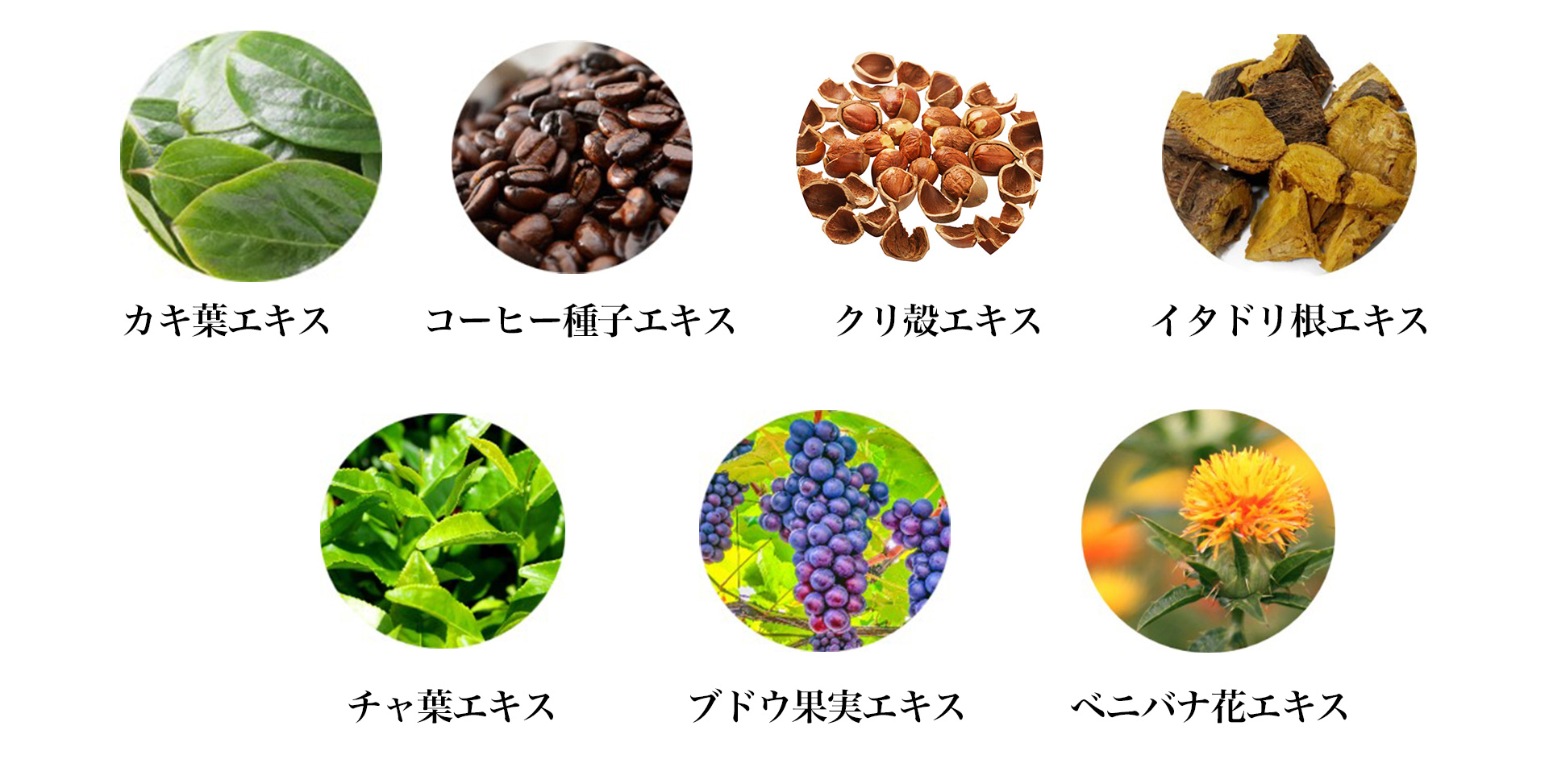 V3 シャイニングファンデーションの成分