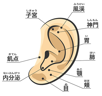 美容効果のヒミツは「血流促進」にあった