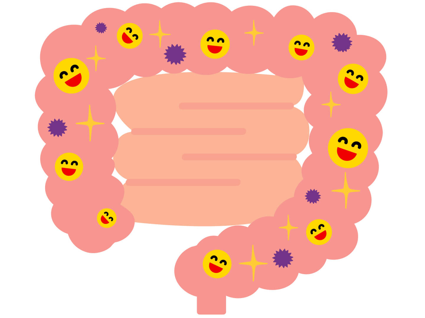 腸が免疫の要ってホント?