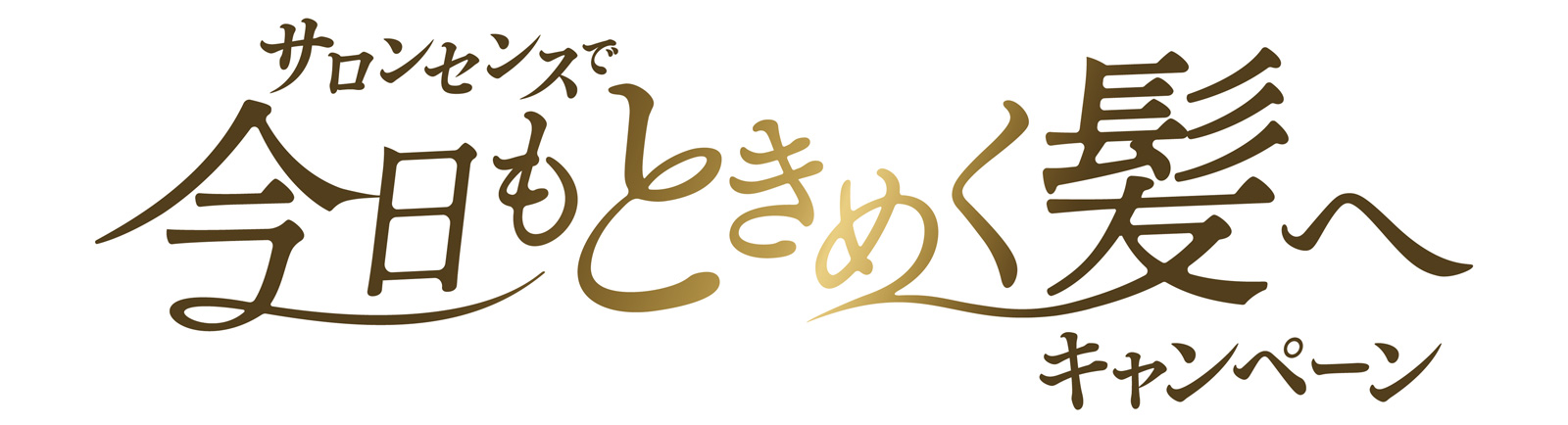 「いつもの今日に、ときめく髪を。」キャンペーンについて