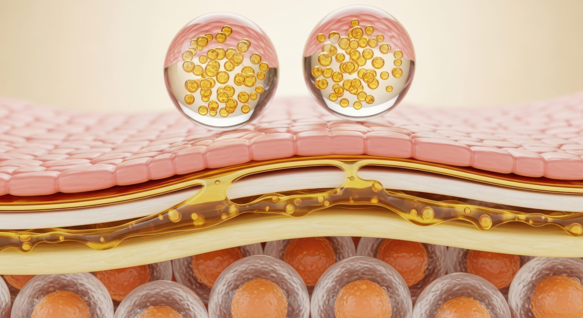 保湿＆肌ケア成分たっぷり