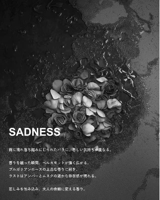 SADNESS / 悲しみ