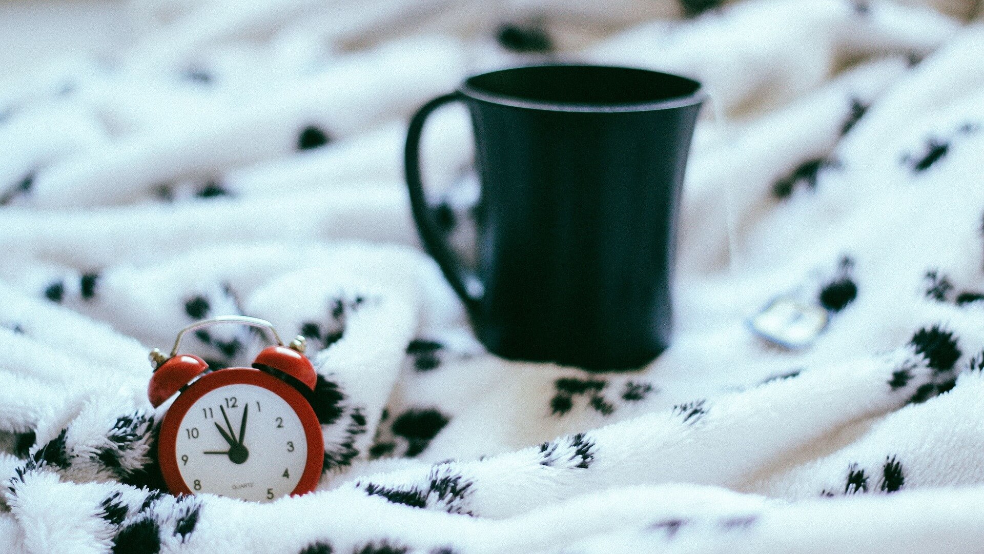 忙しい女性におすすめの漢方茶習慣