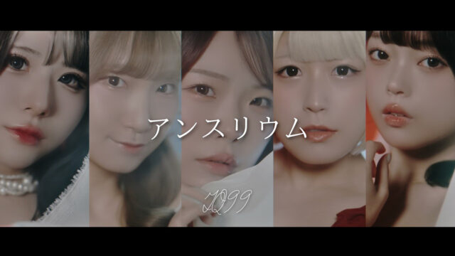 IQ99 アンスリウム