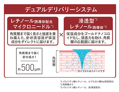 デュアルデリバリーシステム