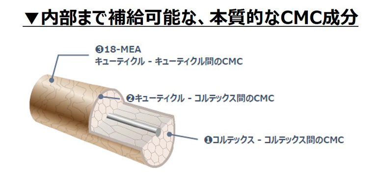 内部まで補給可能な、本質的なCMC成分