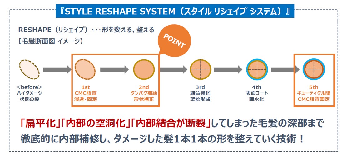 STYLE RESHAPE SYSTEM（スタイル リシェイプ システム）